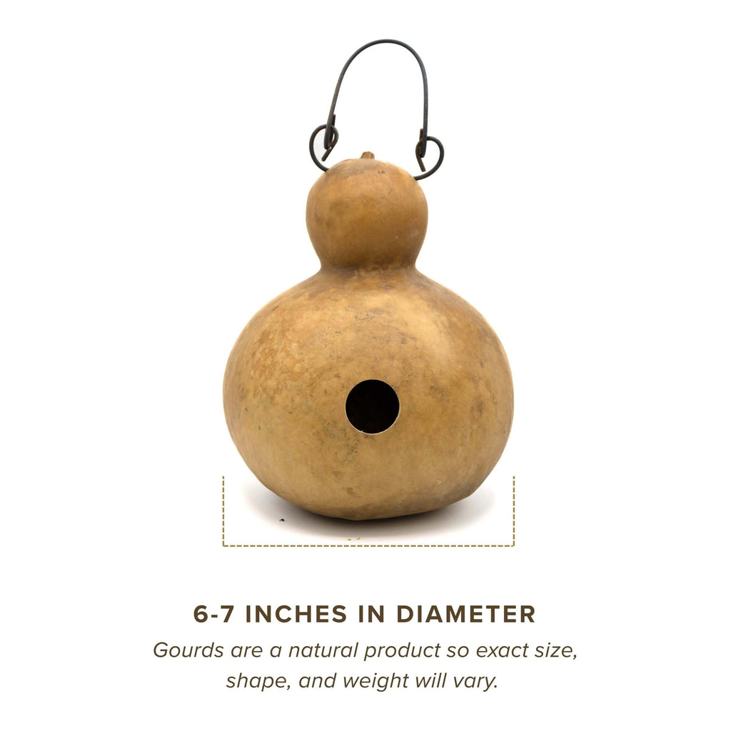 Dried Cabin Birdhouse Gourd