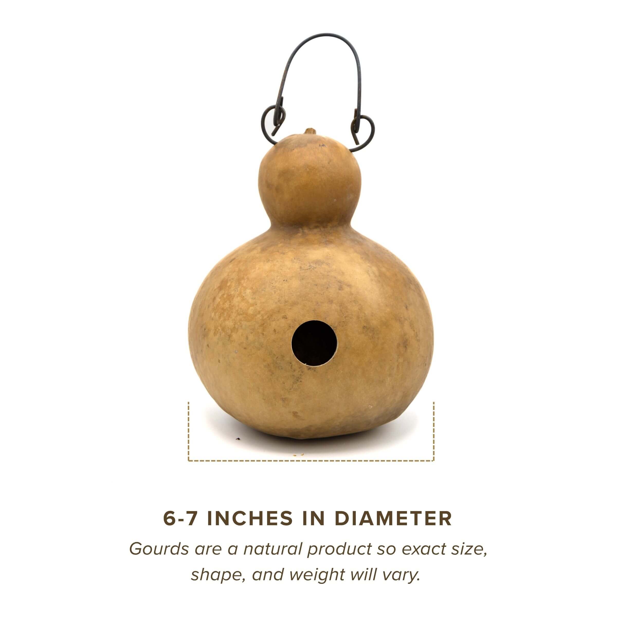 Dried Cabin Birdhouse Gourd