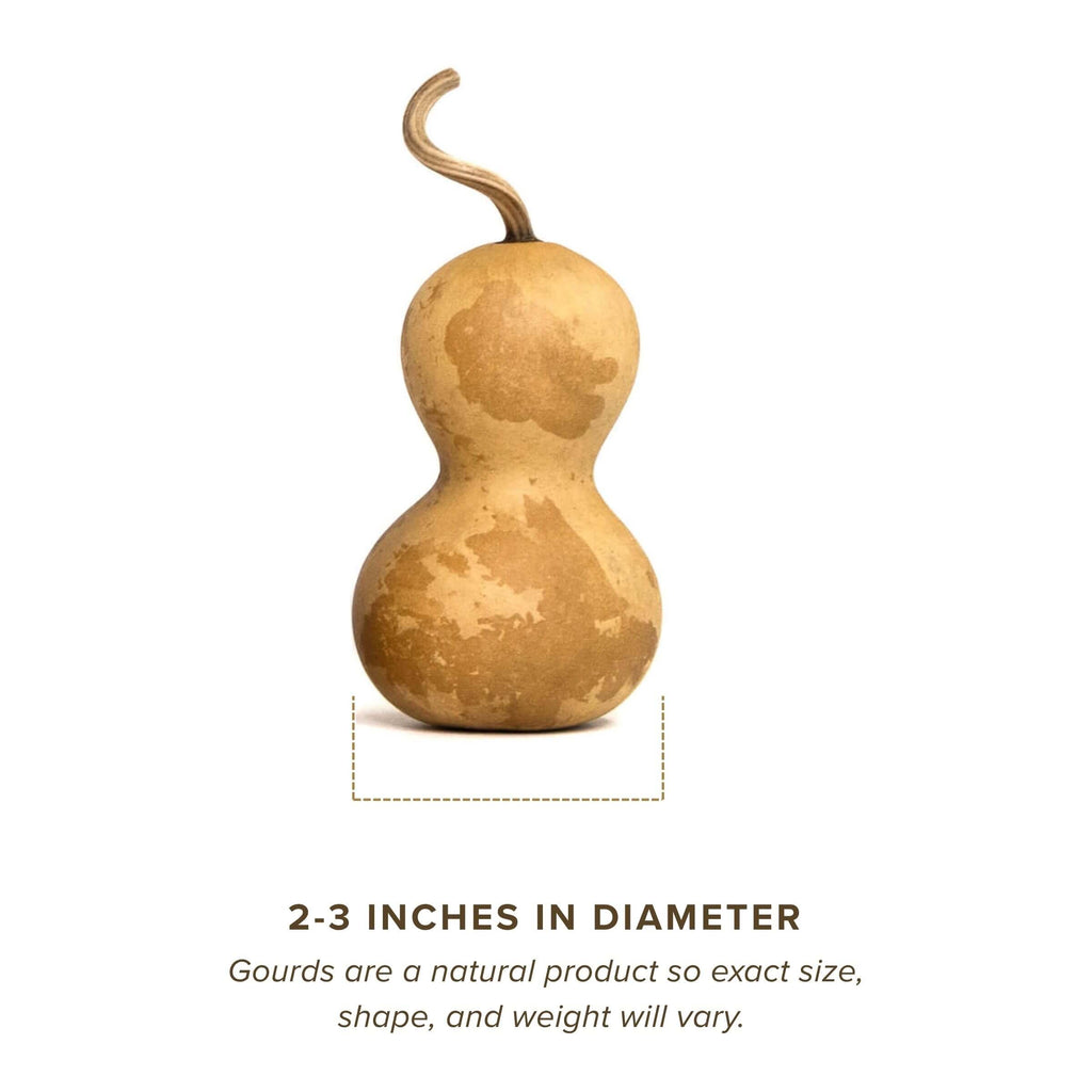 Dried Bottle Gourd - 2" in Diameter