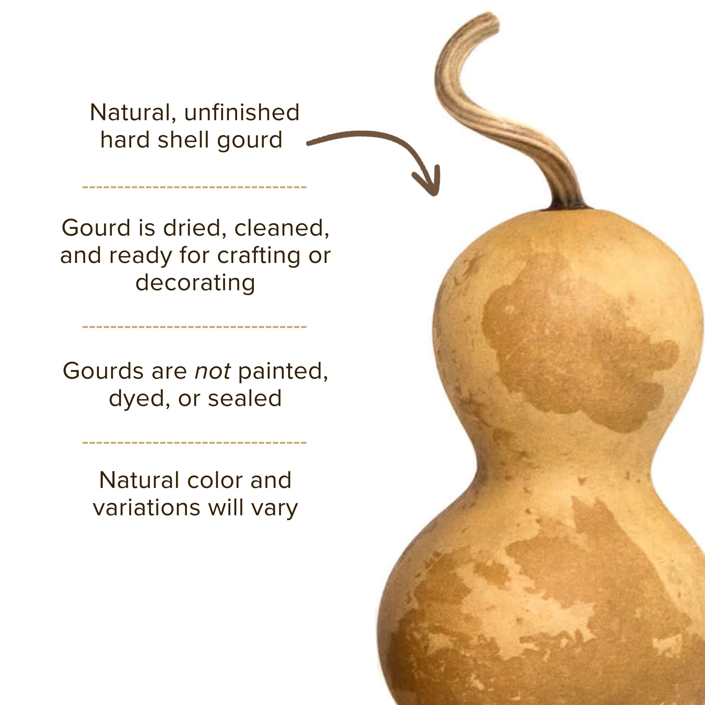 Dried Bottle Gourd - 2" in Diameter