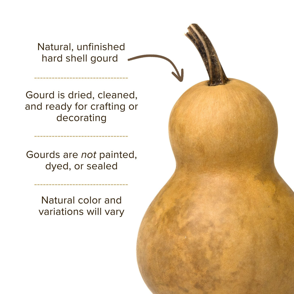 Dried Bottle Gourd - 3" in Diameter