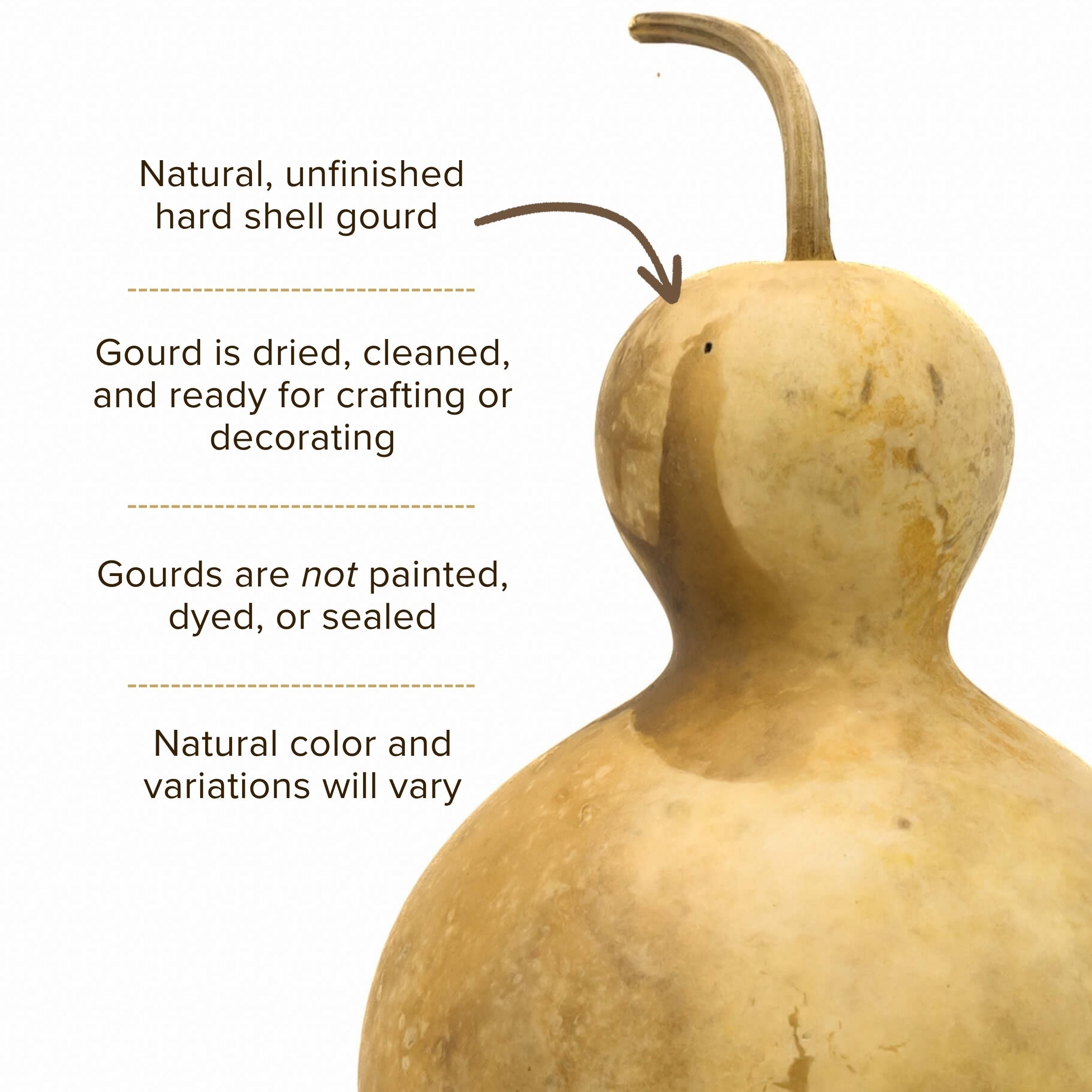 Dried Bottle Gourd - 4" in Diameter