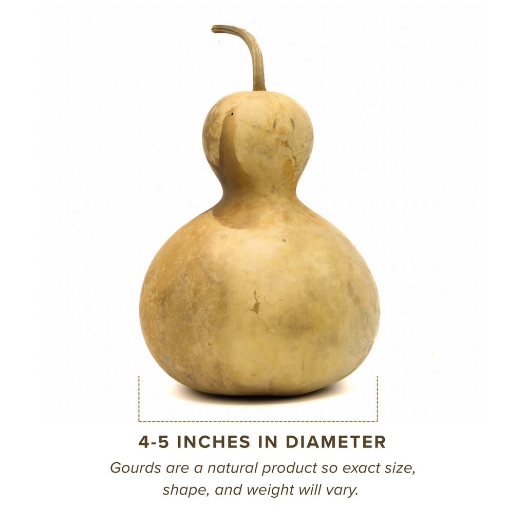 Dried Bottle Gourd - 4" in Diameter