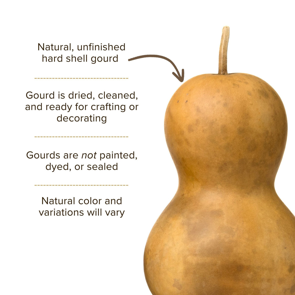 Dried Bottle Gourd  -  5" in Diameter