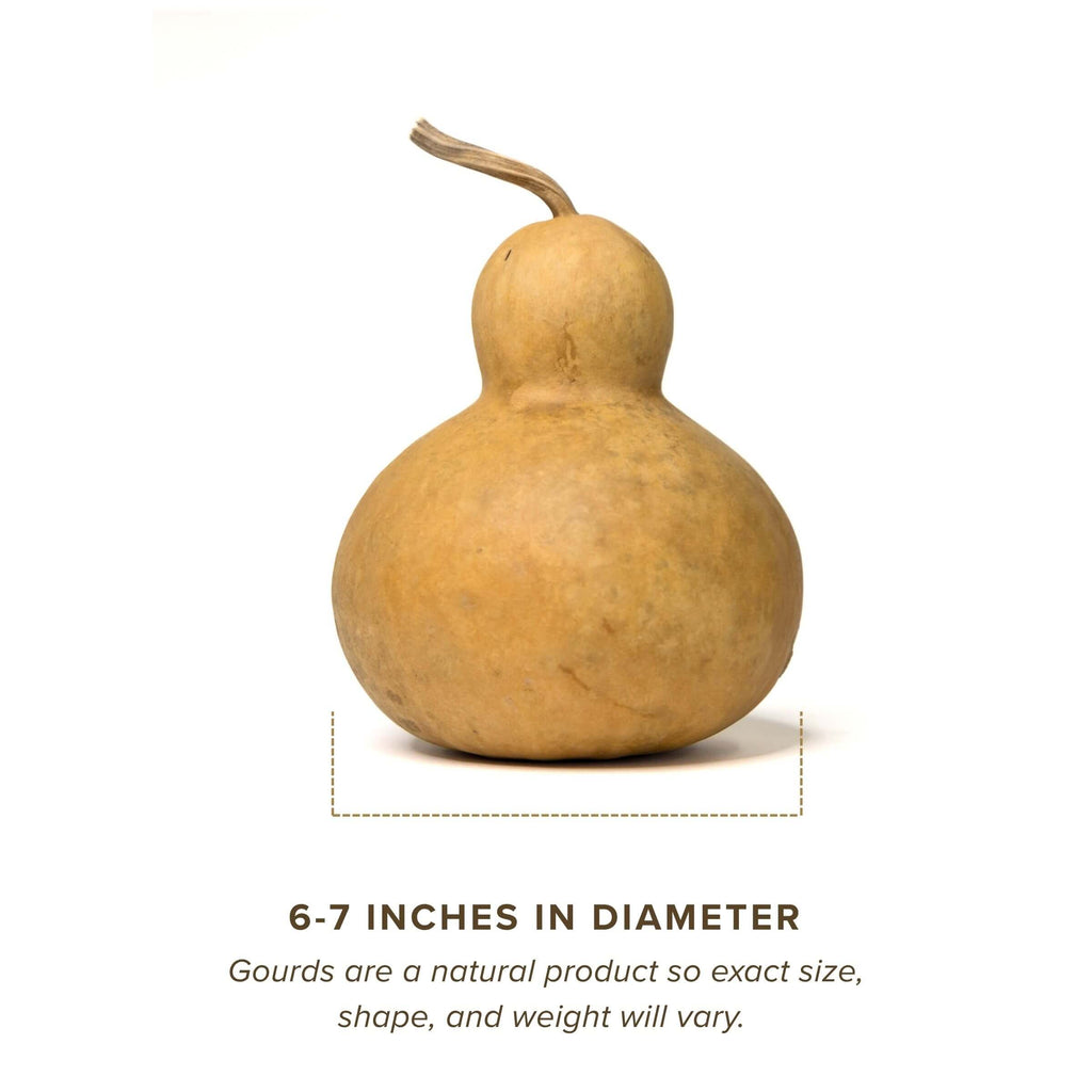 Dried Bottle Gourd - 6" in Diameter
