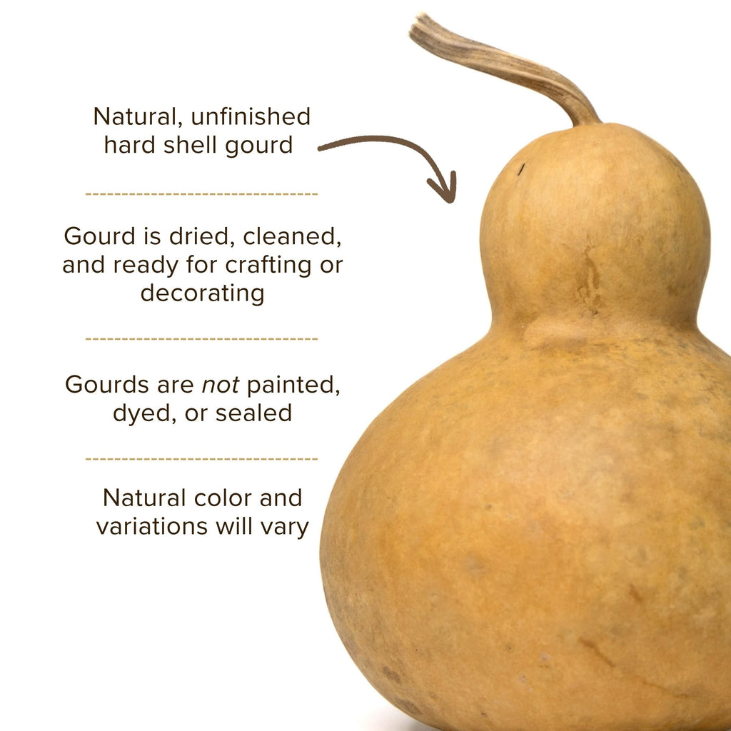 Dried Bottle Gourd - 6" in Diameter