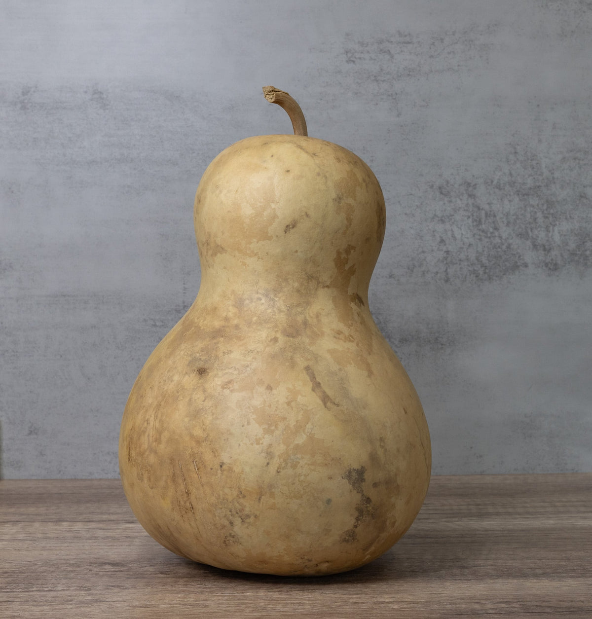 Dried Bottle Gourd - 8" in Diameter