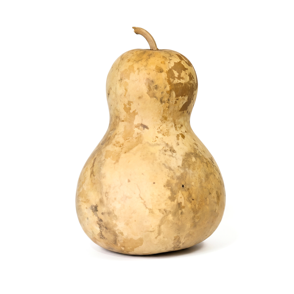 Dried Bottle Gourd - 8" in Diameter