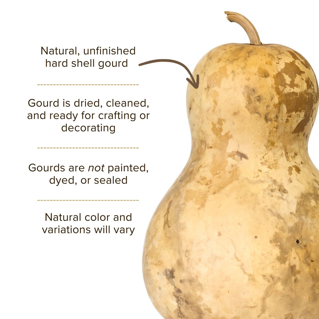 Dried Bottle Gourd - 8" in Diameter