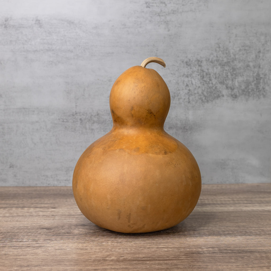 Dried Bottle Gourd - 9" in Diameter