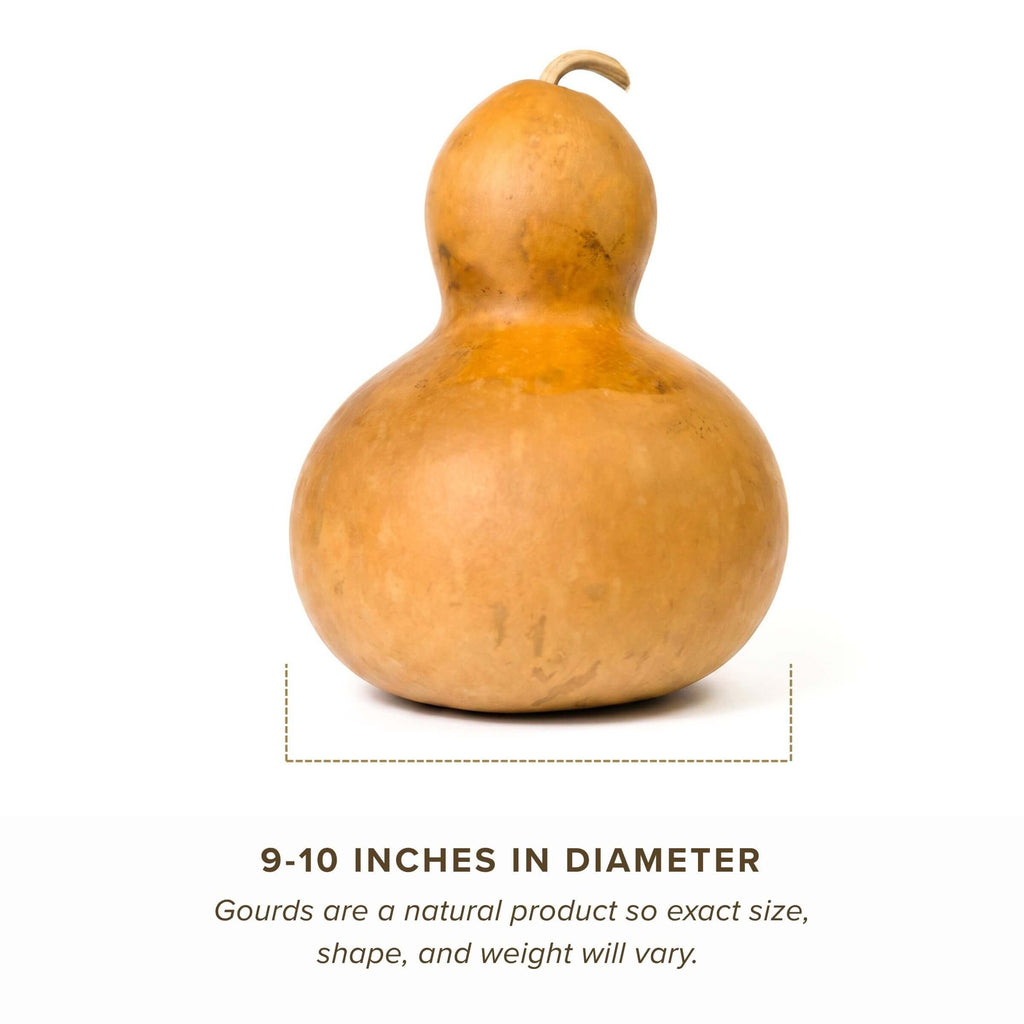 Dried Bottle Gourd - 9" in Diameter