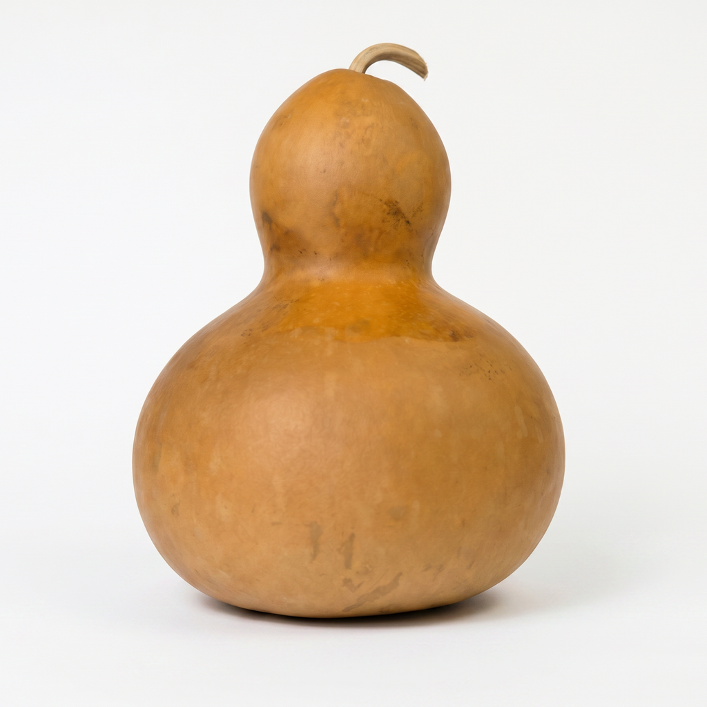 Dried Bottle Gourd - 9" in Diameter