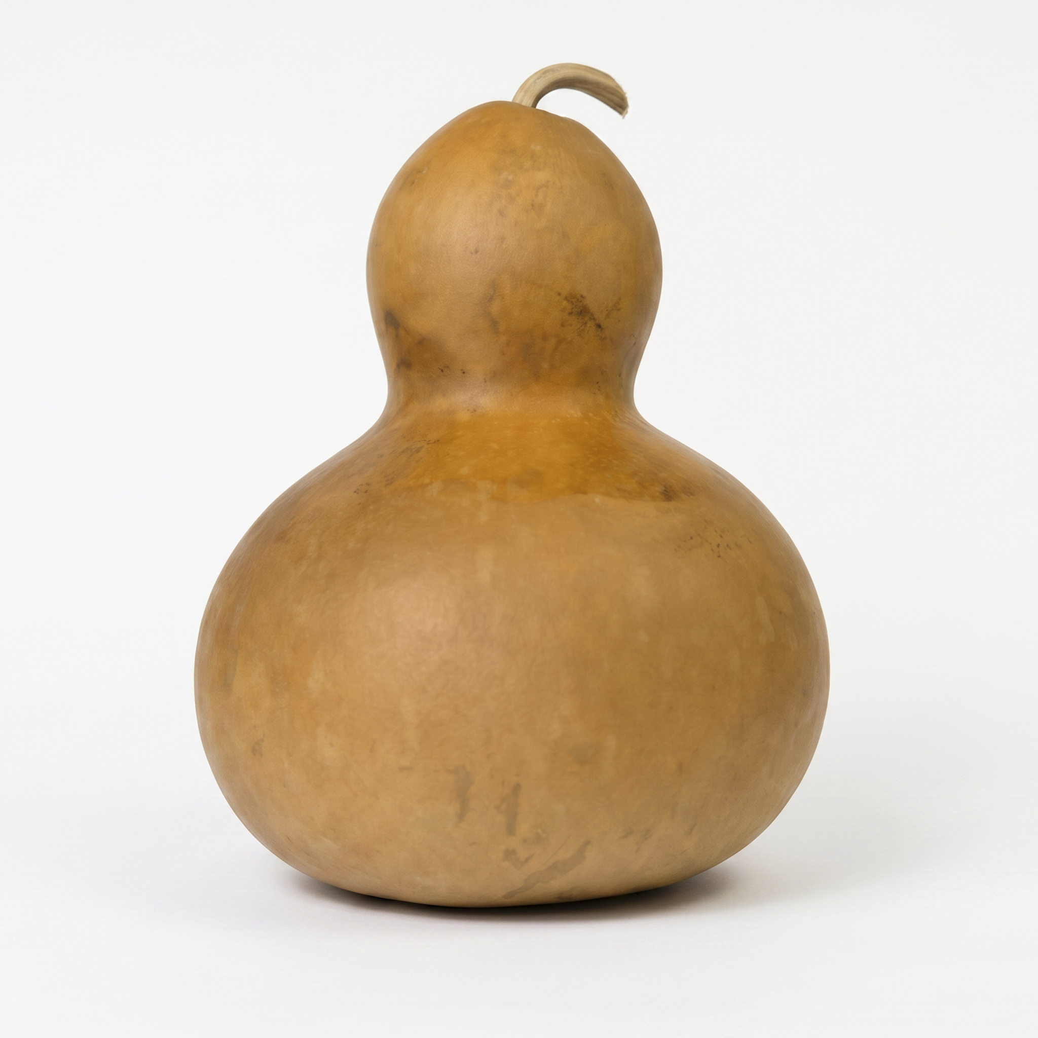 Dried Bottle Gourd - 9" in Diameter