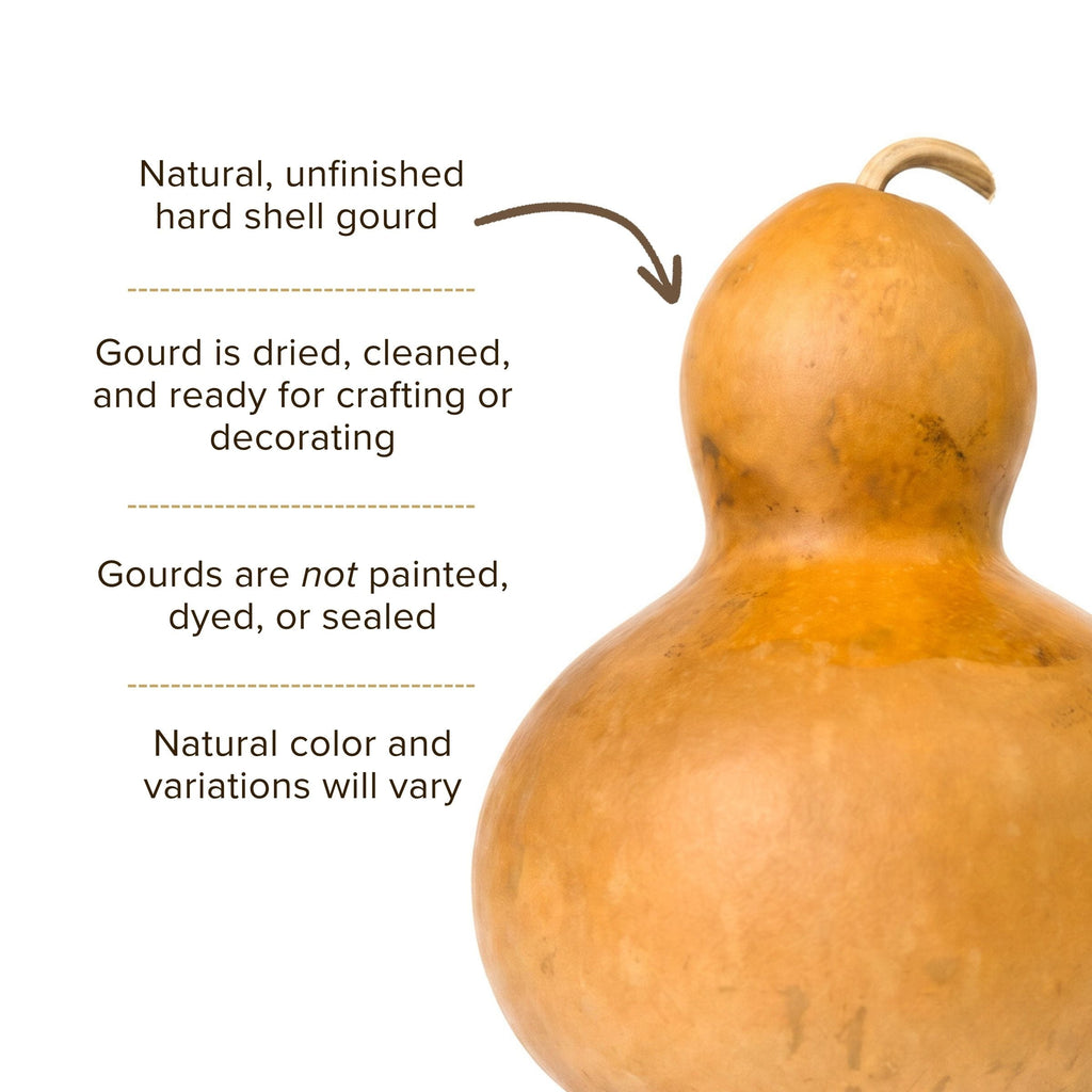 Dried Bottle Gourd - 9" in Diameter