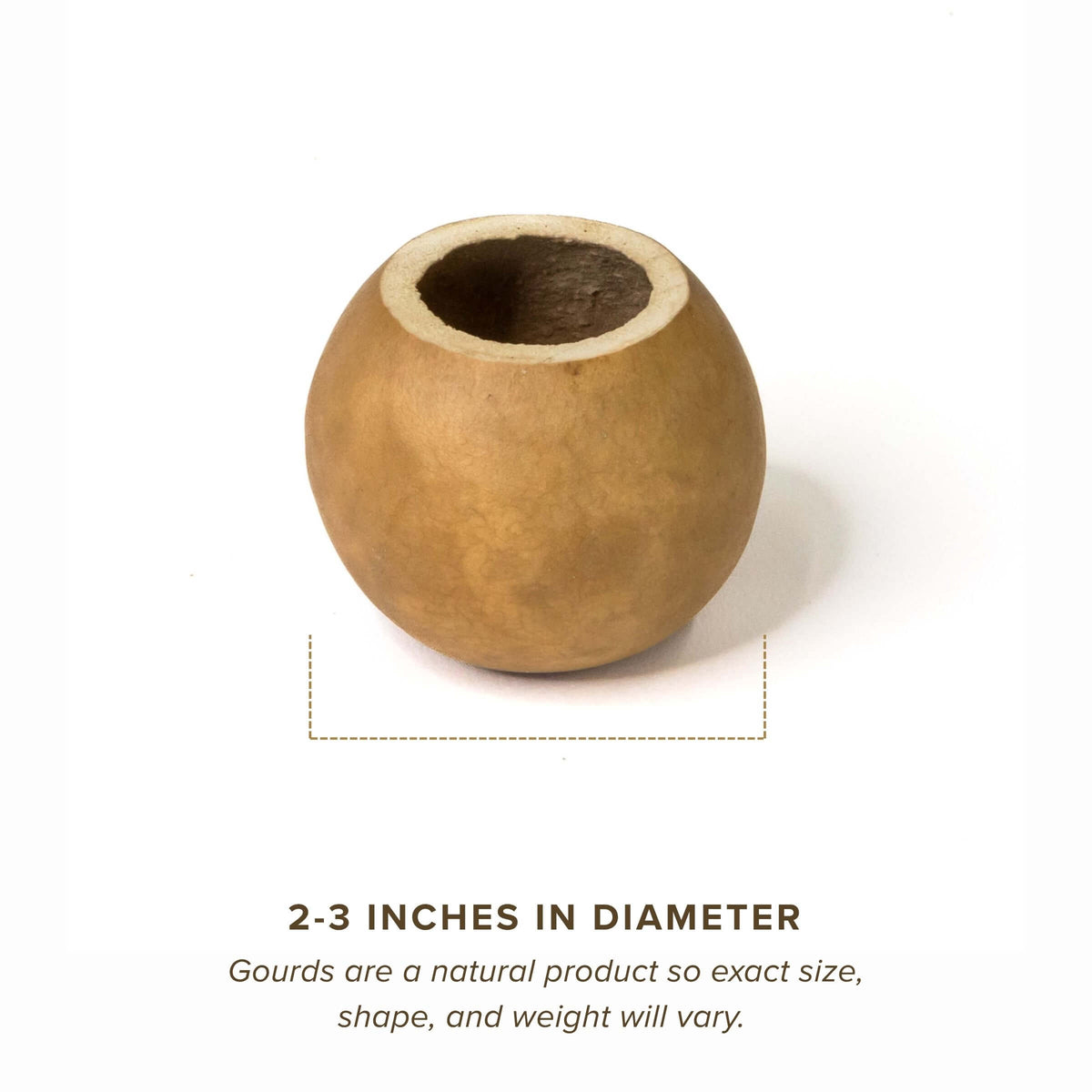 Dried 2" Straight Cut Gourd Bowl
