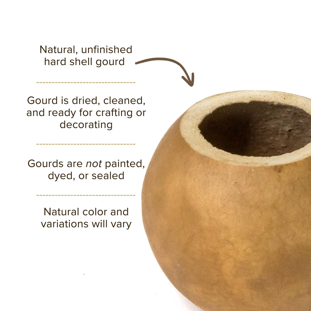 Dried 2" Straight Cut Gourd Bowl
