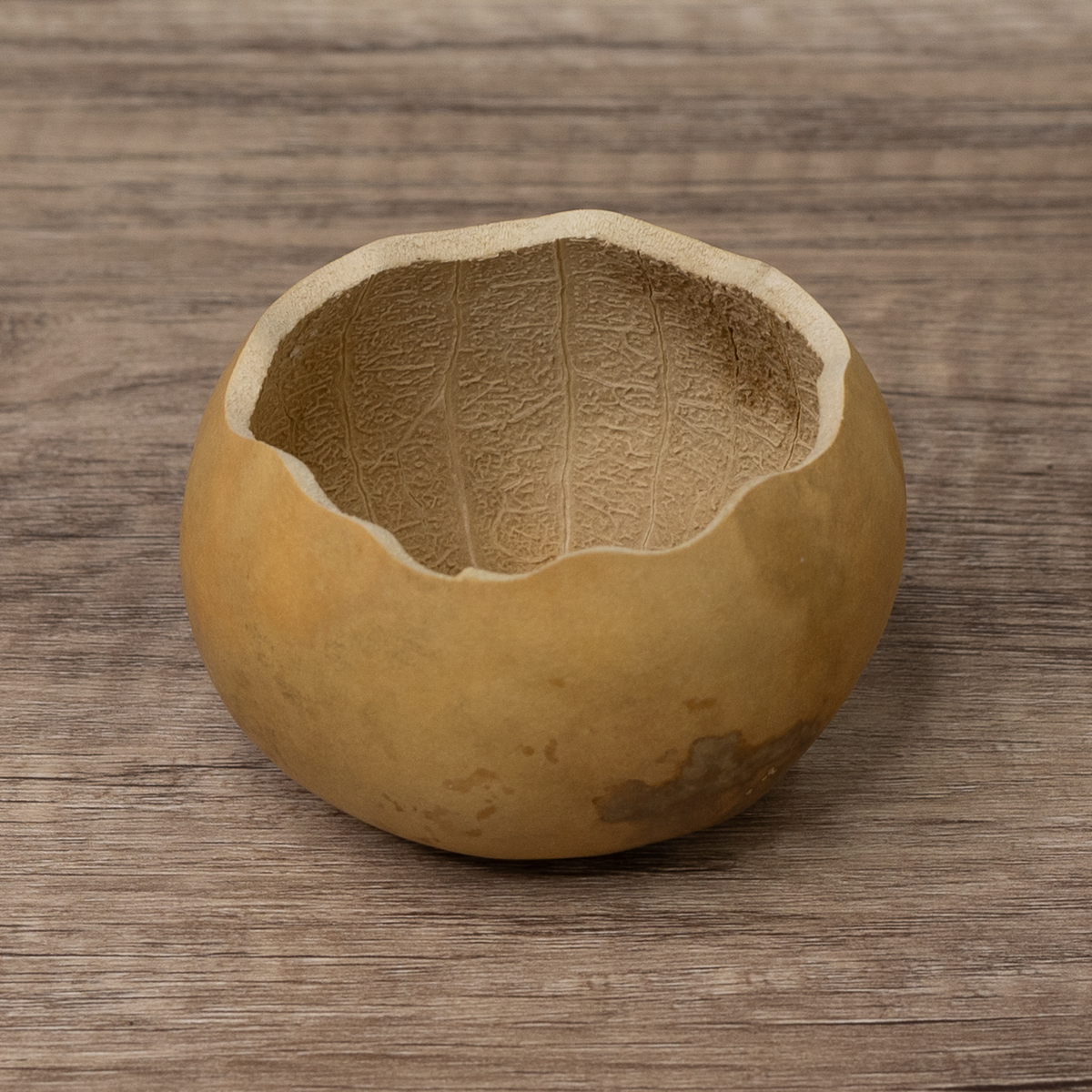 3 inch scalloped cut gourd bowl at Meadowbrooke Gourds.