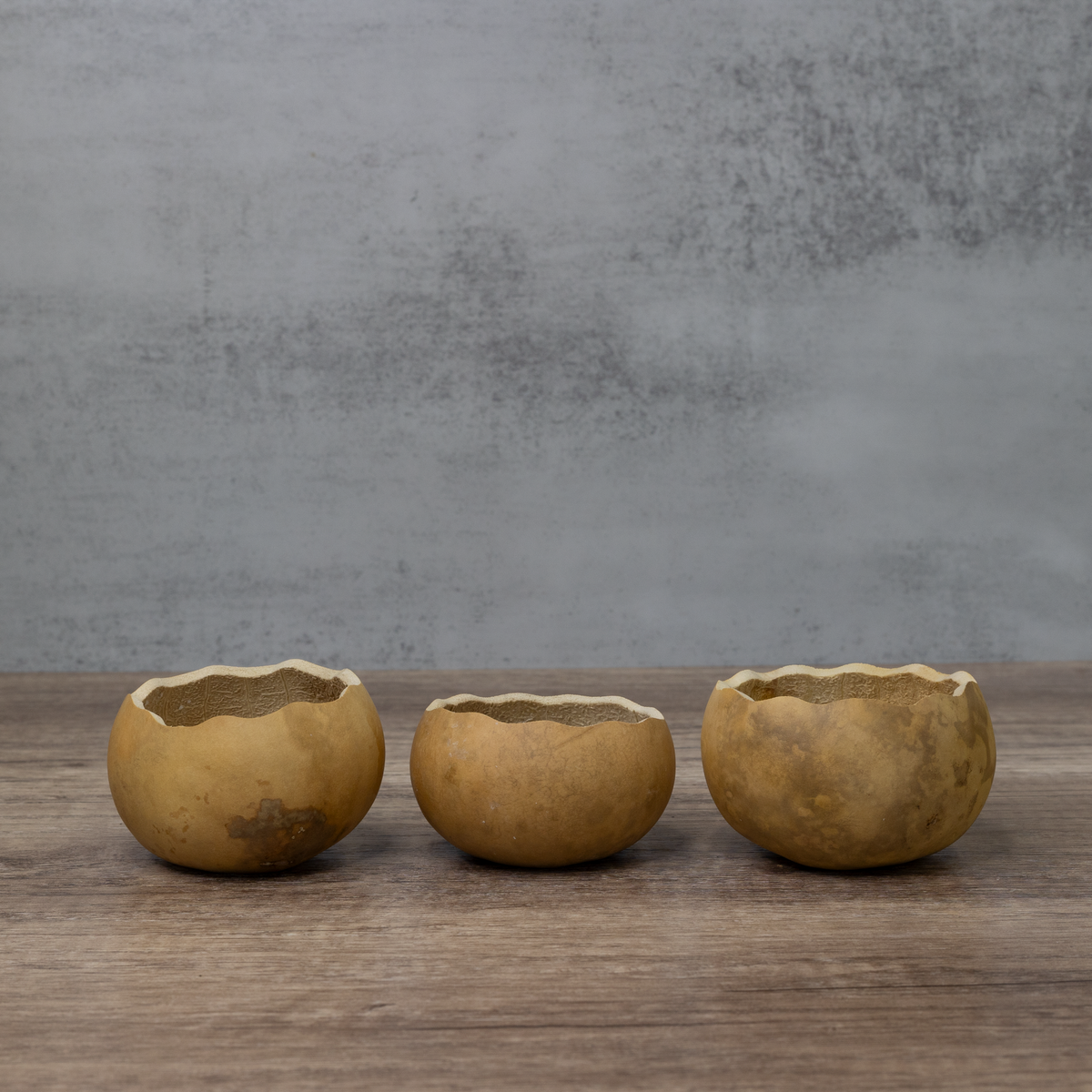 3 inch scalloped cut gourd bowls in a set of three at Meadowbrooke Gourds.