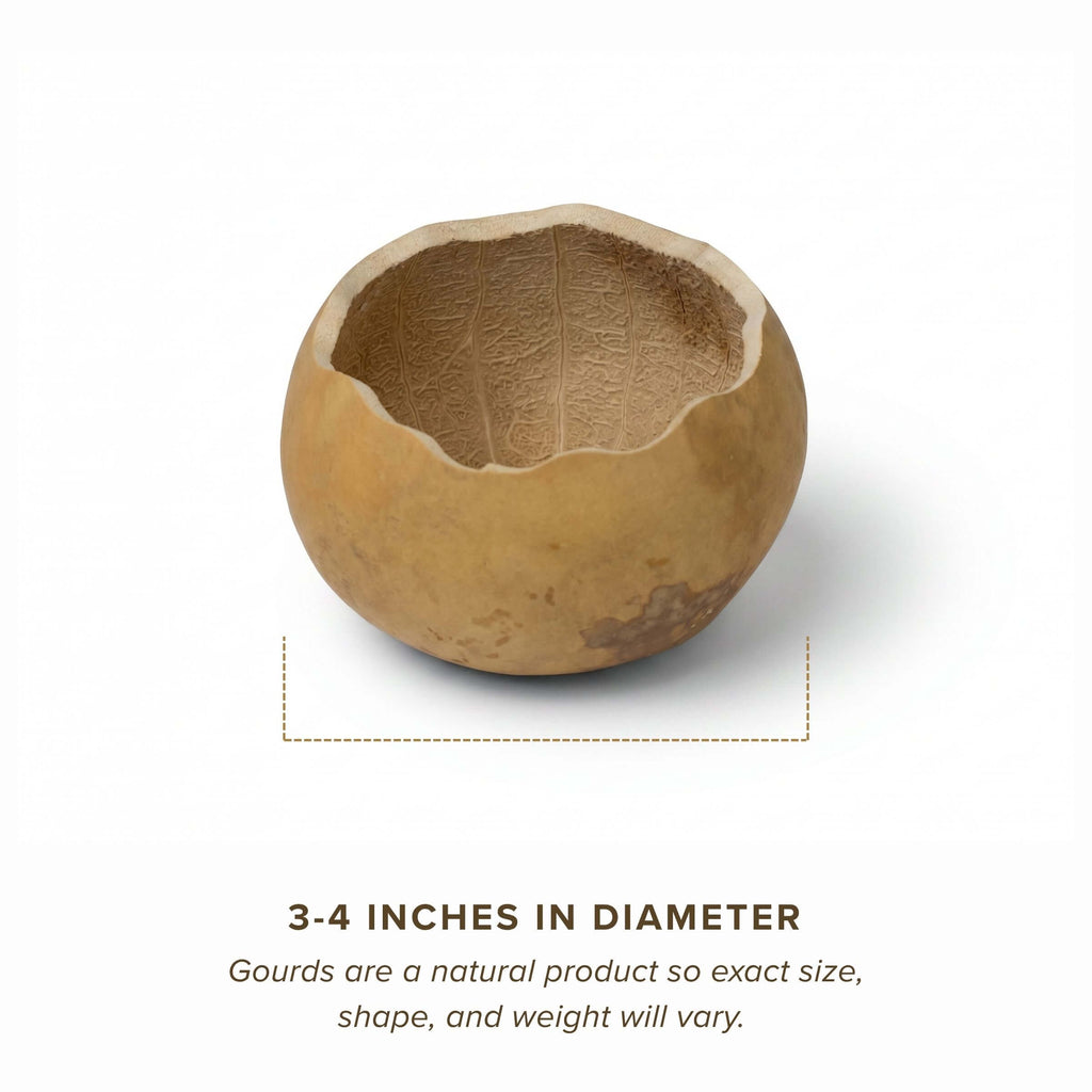 Dried 3" Scalloped Cut Gourd Bowl