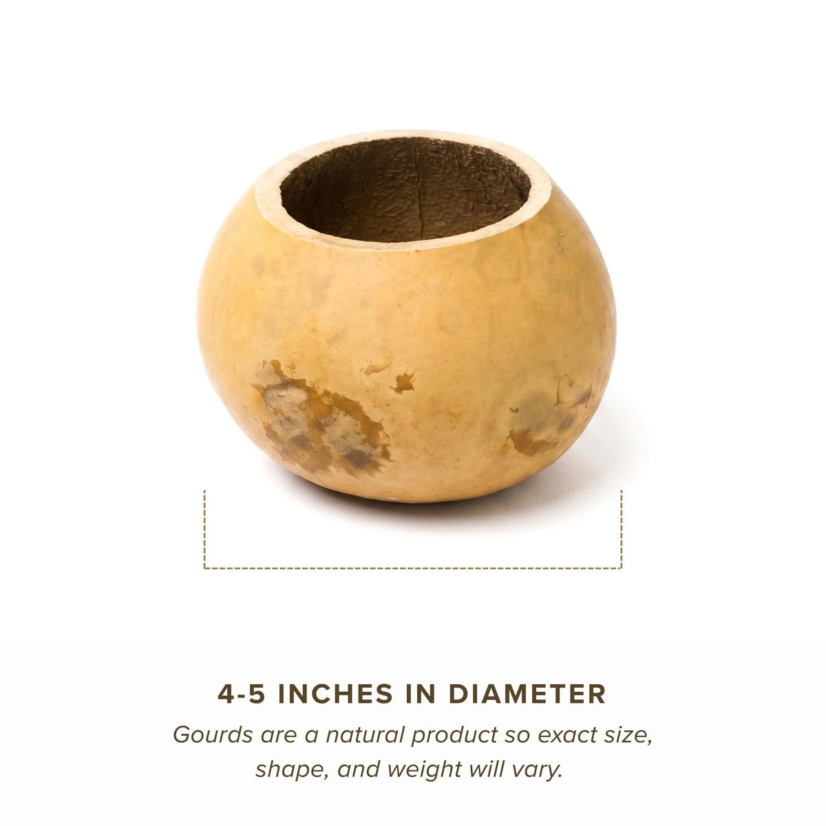 Dried 4" Straight Cut Gourd Bowl