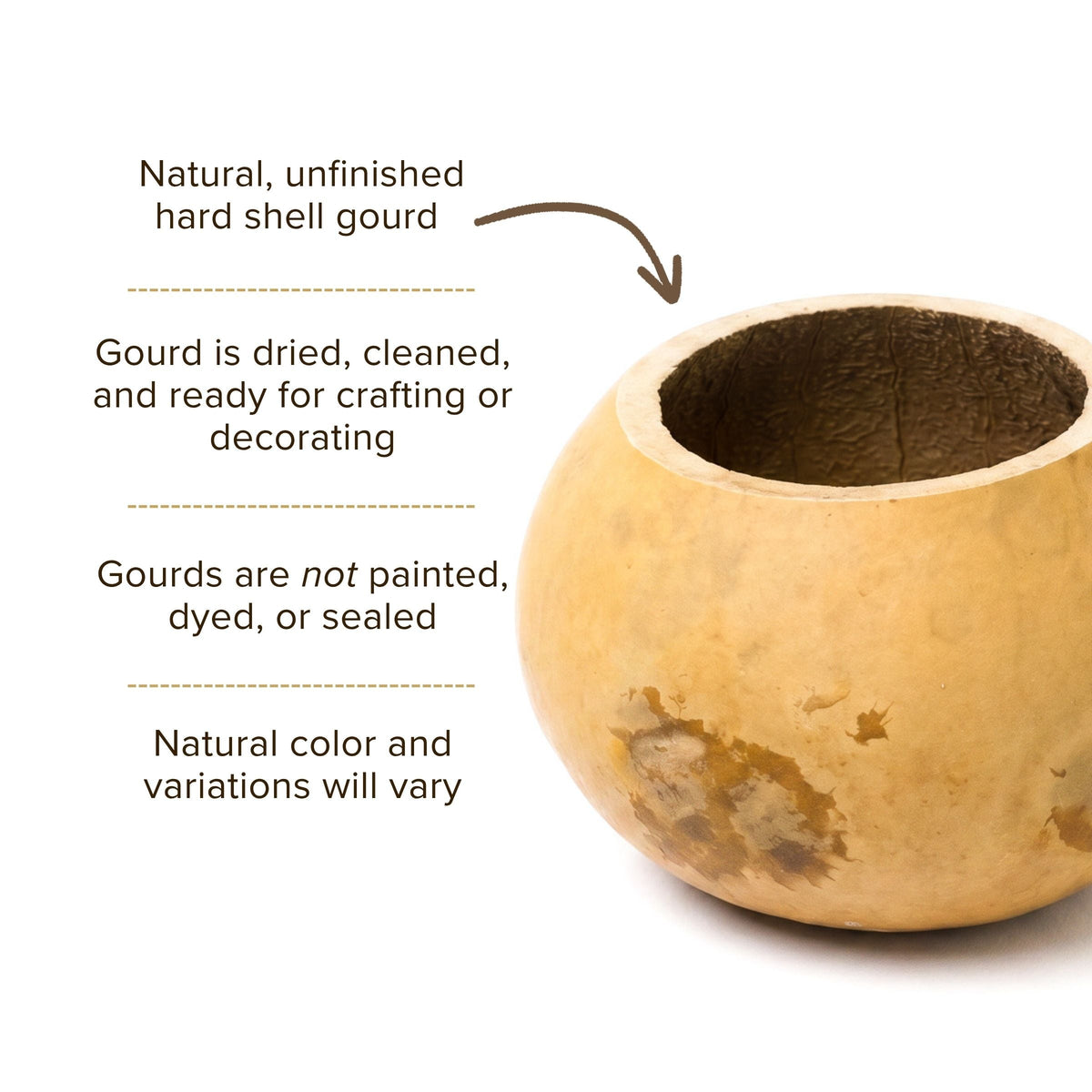 Dried 4" Straight Cut Gourd Bowl