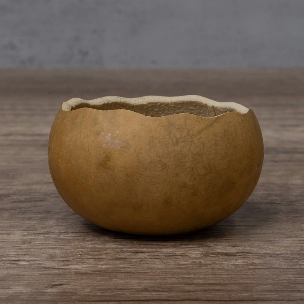 Dried 5" Scalloped Cut Gourd Bowl
