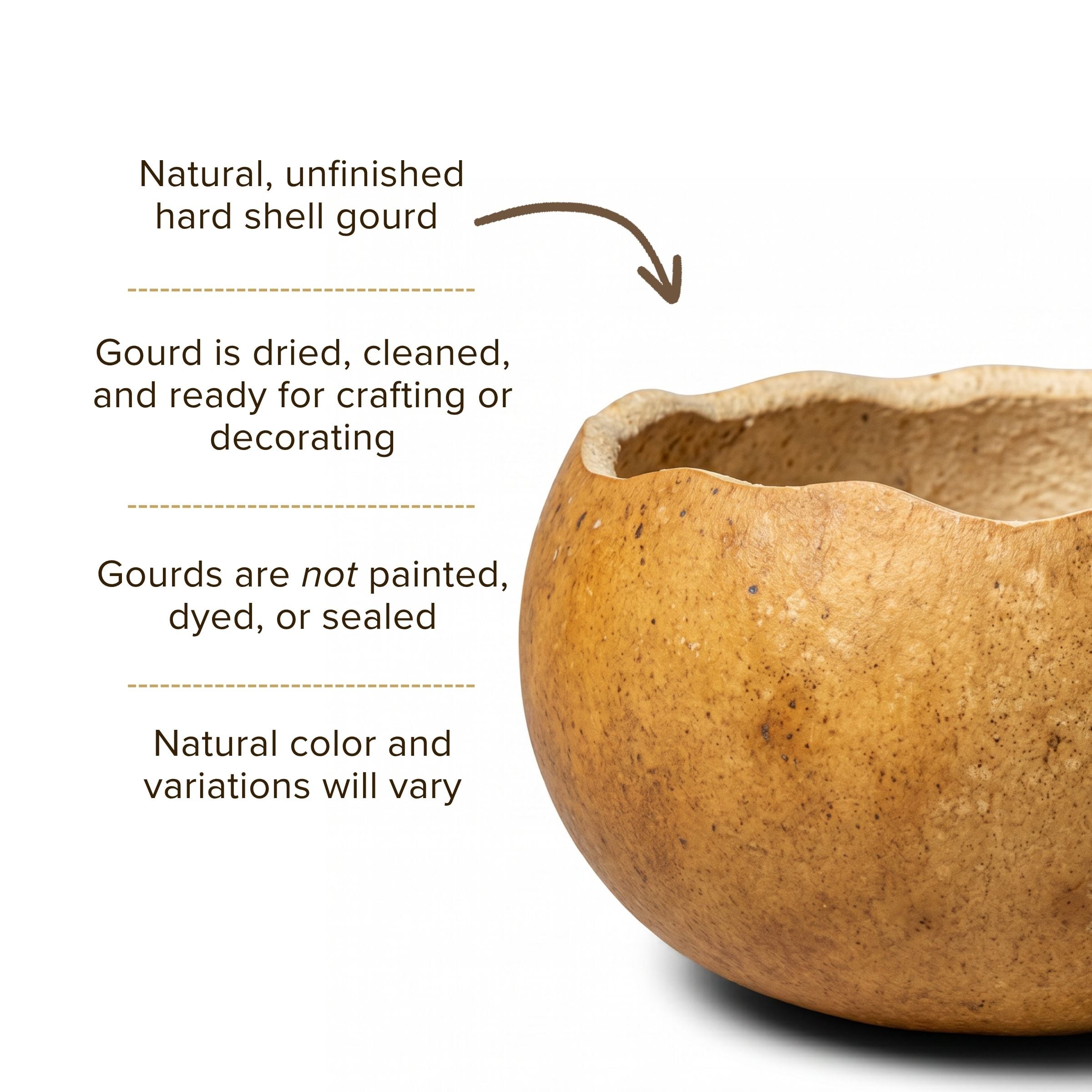 Dried 5" Scalloped Cut Gourd Bowl