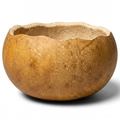 Dried 5" Scalloped Cut Gourd Bowl