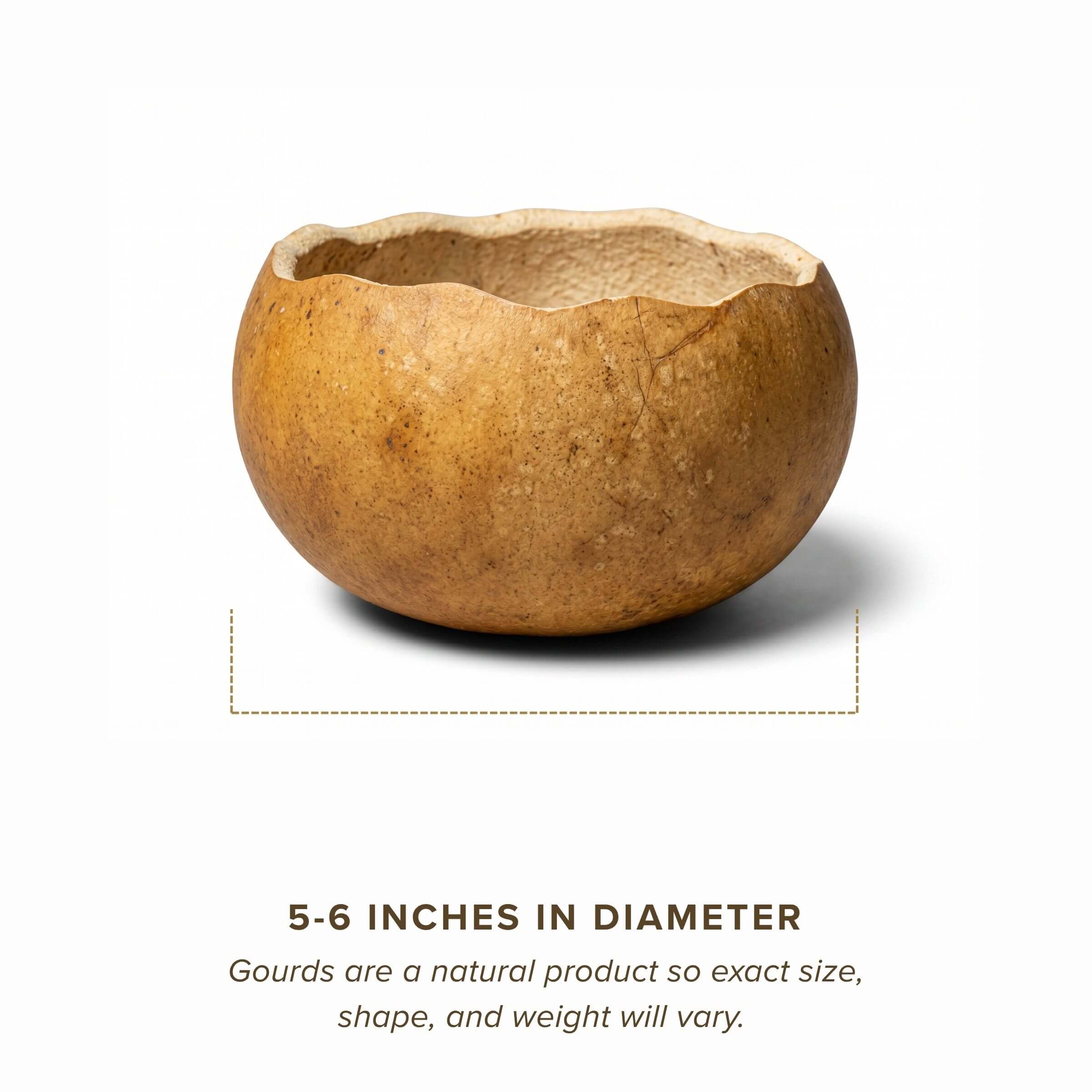 Dried 5" Scalloped Cut Gourd Bowl
