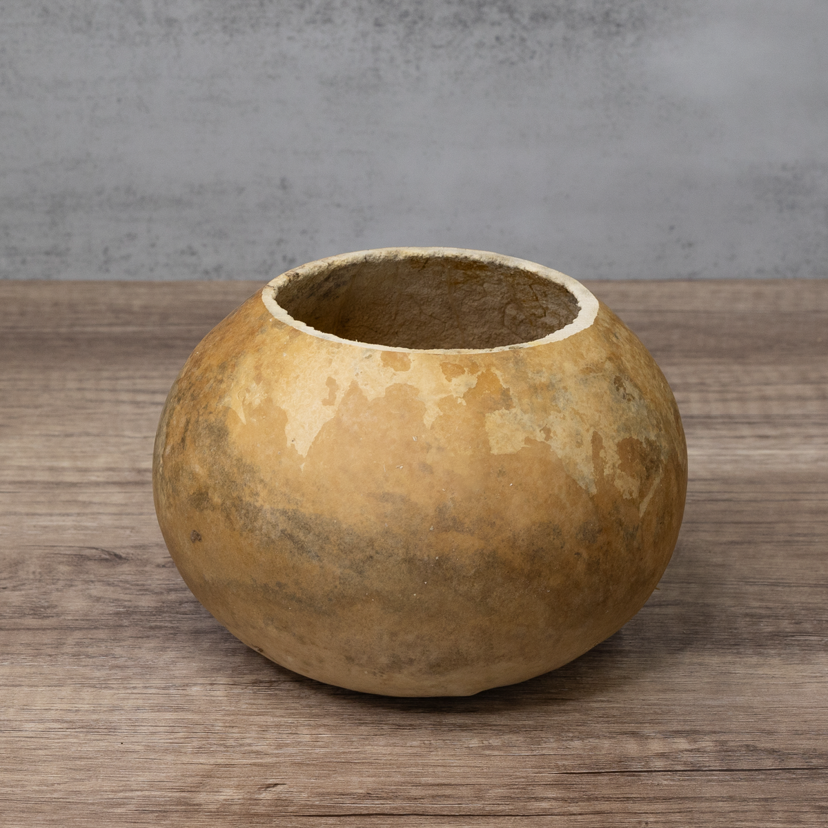 6 inch straight cut gourd bowl at Meadowbrooke Gourds.