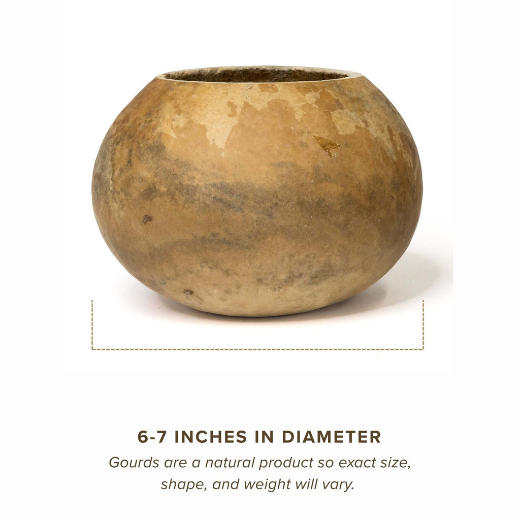 Dried 6" Straight Cut Gourd Bowl