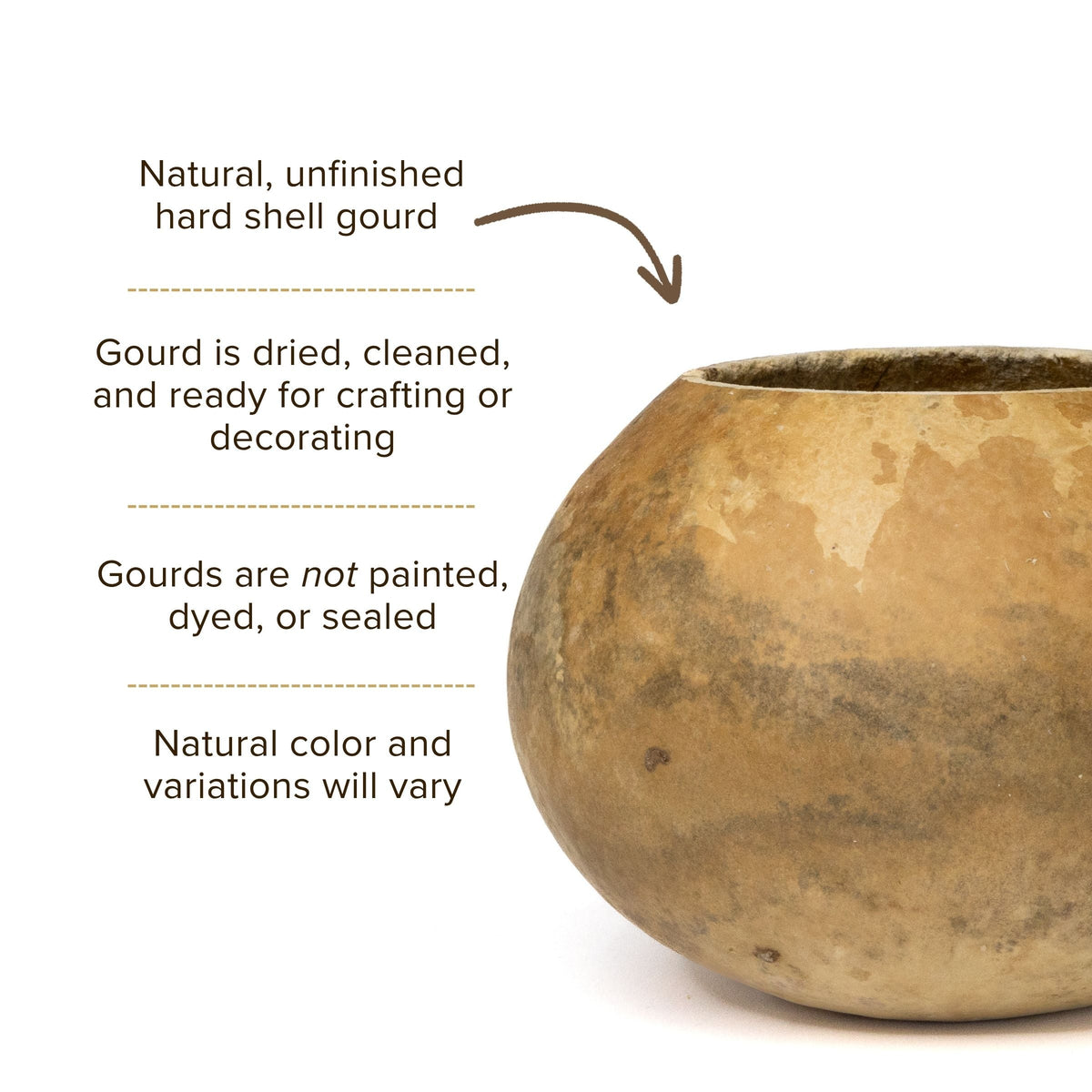 Dried 6" Straight Cut Gourd Bowl