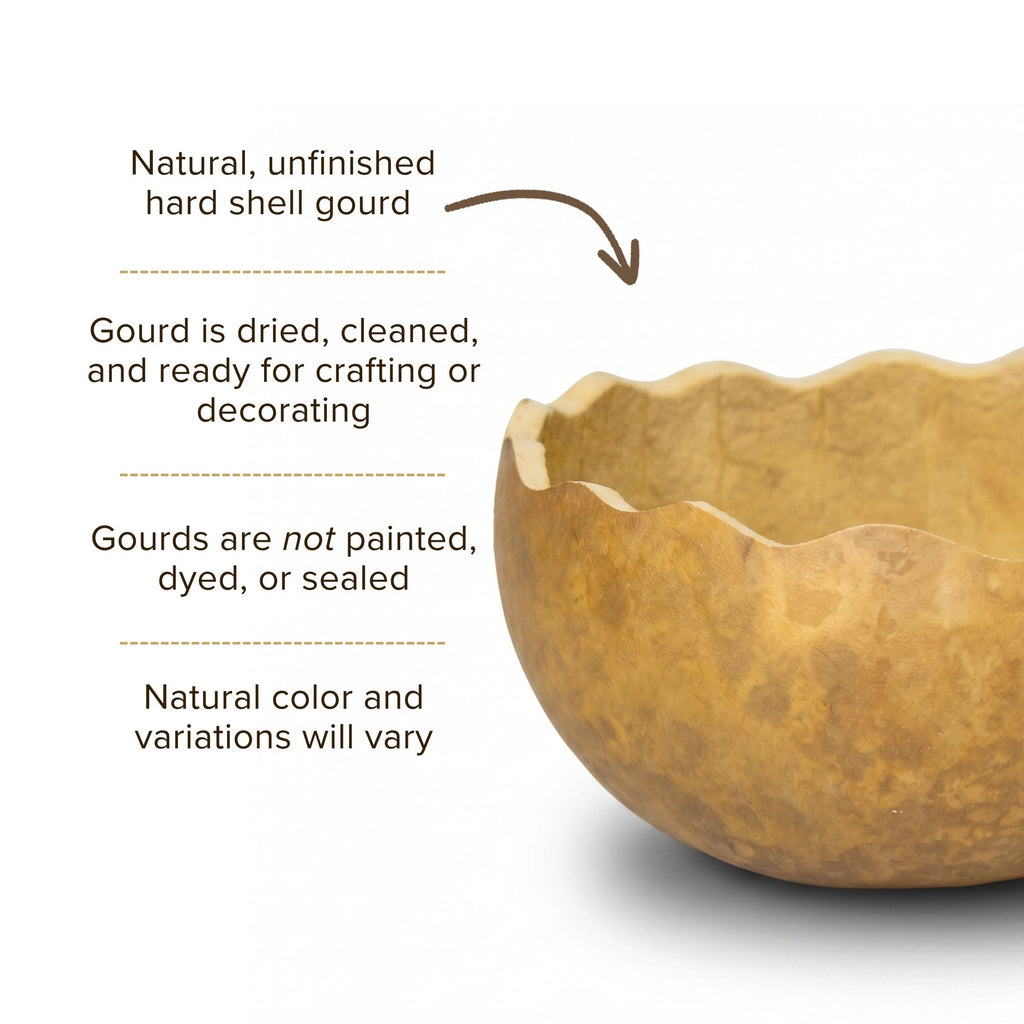 Dried 7" Scalloped Cut Gourd Bowl