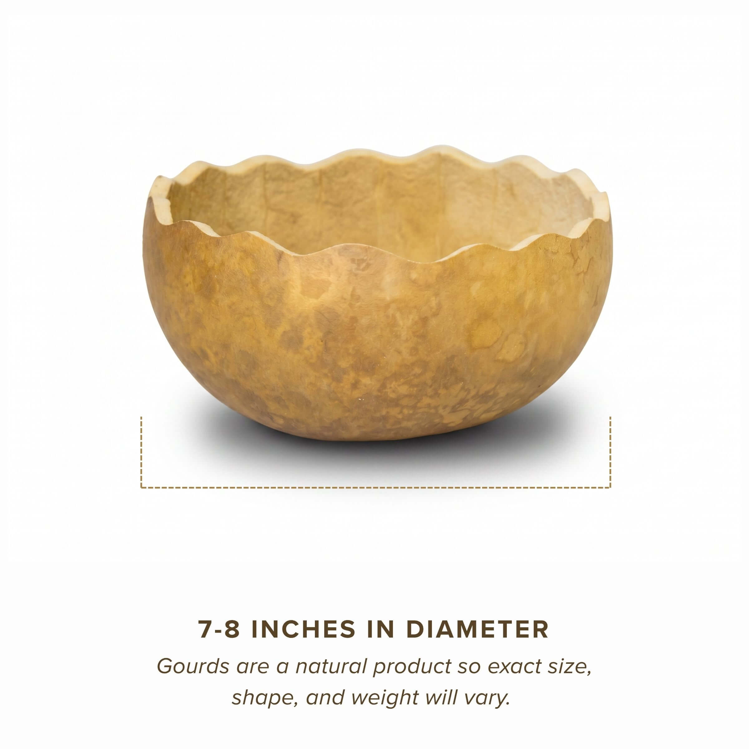 Dried 7" Scalloped Cut Gourd Bowl