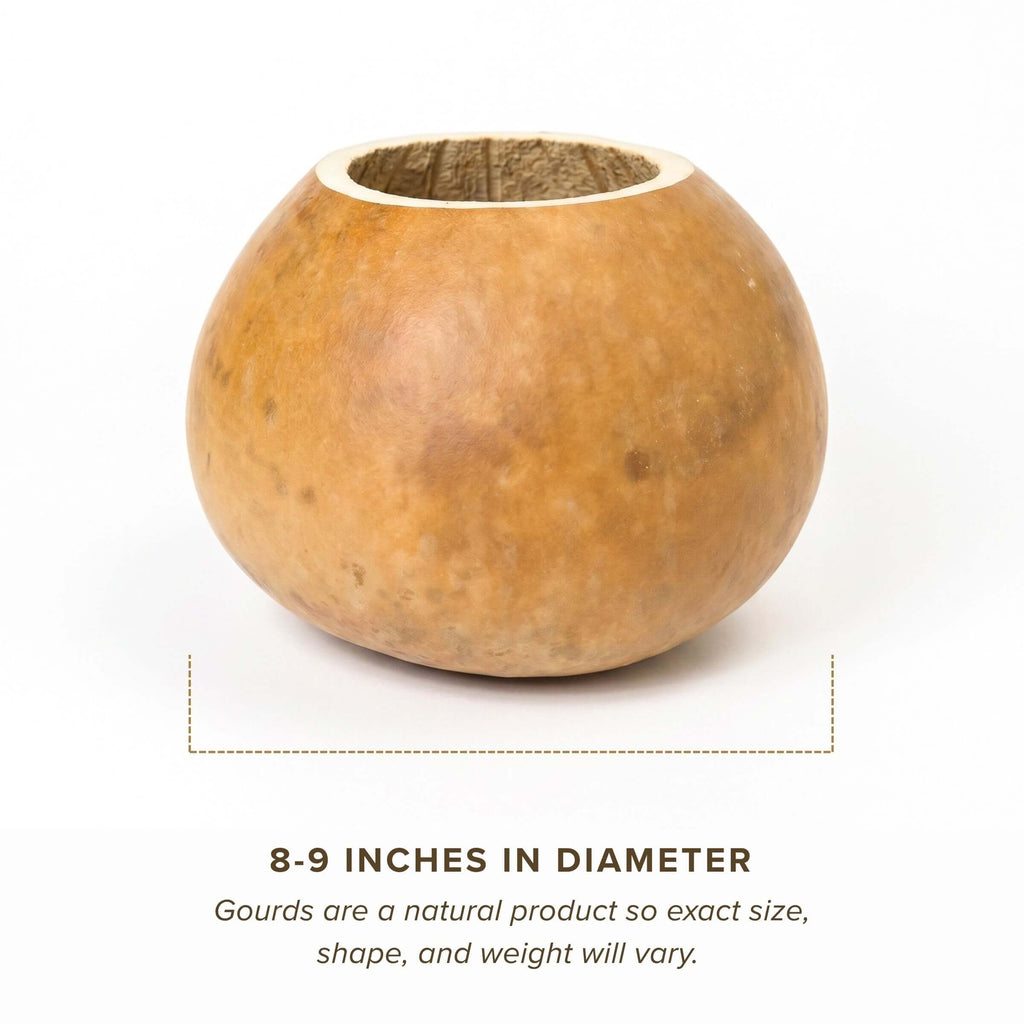 Dried 8" Straight Cut Gourd Bowl
