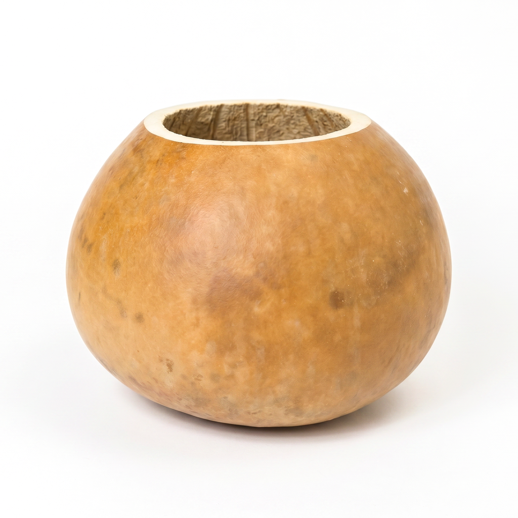 Dried 8" Straight Cut Gourd Bowl