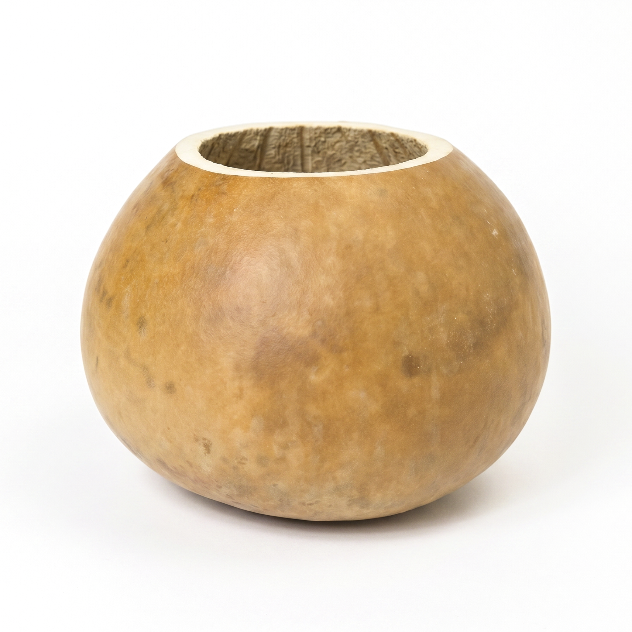 Dried 8" Straight Cut Gourd Bowl