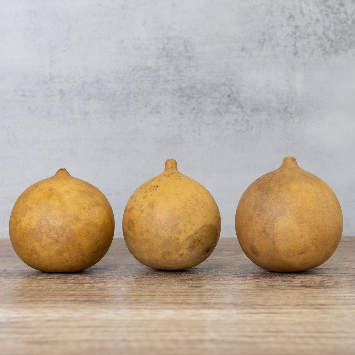 3 inch dried cannonball gourds in set of three at Meadowbrooke Gourds.