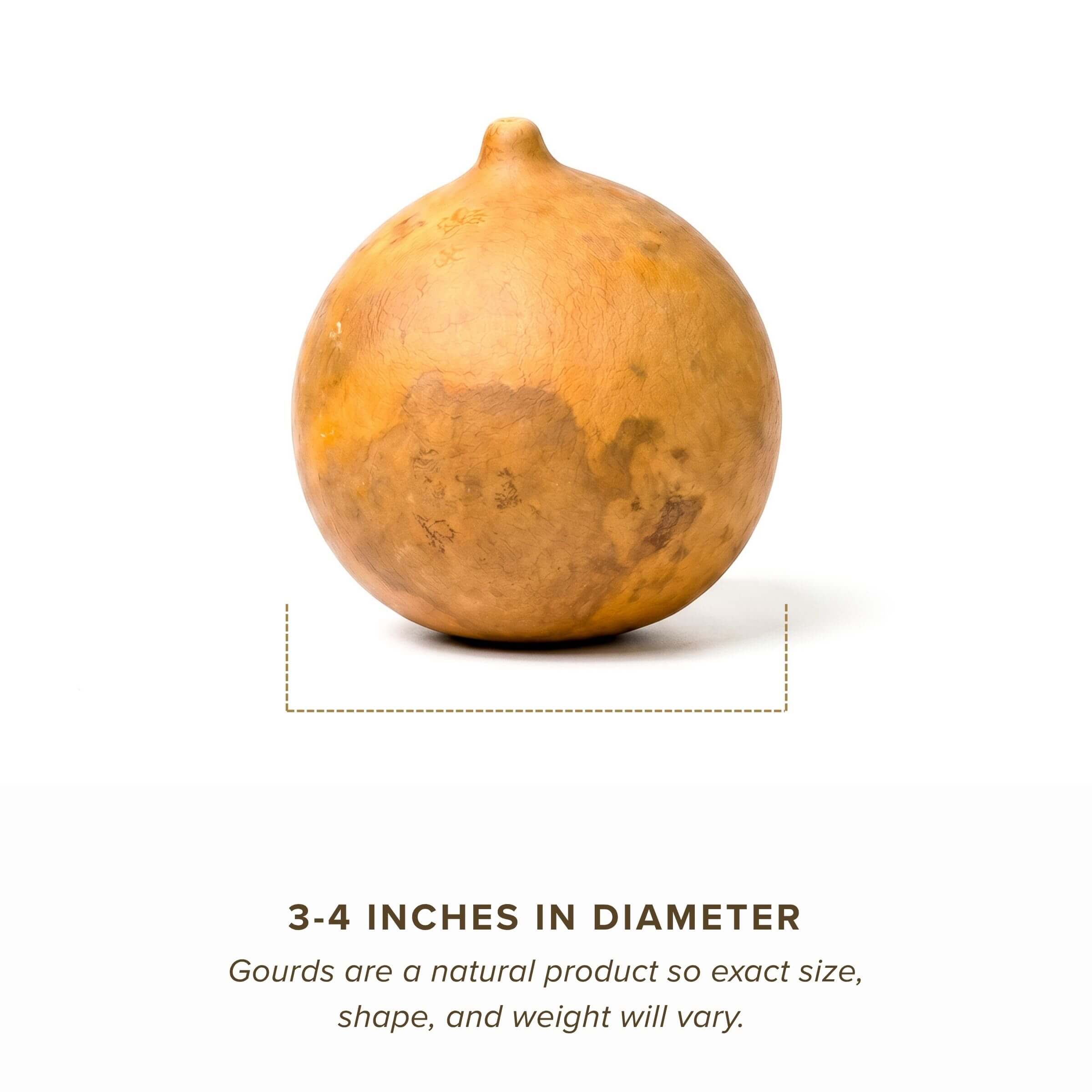 Dried Cannonball Gourd - 3" in Diameter