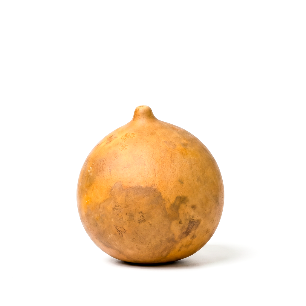 Dried Cannonball Gourd - 3" Diameter