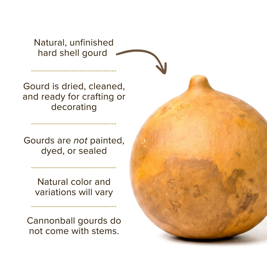 Dried Cannonball Gourd - 3" in Diameter