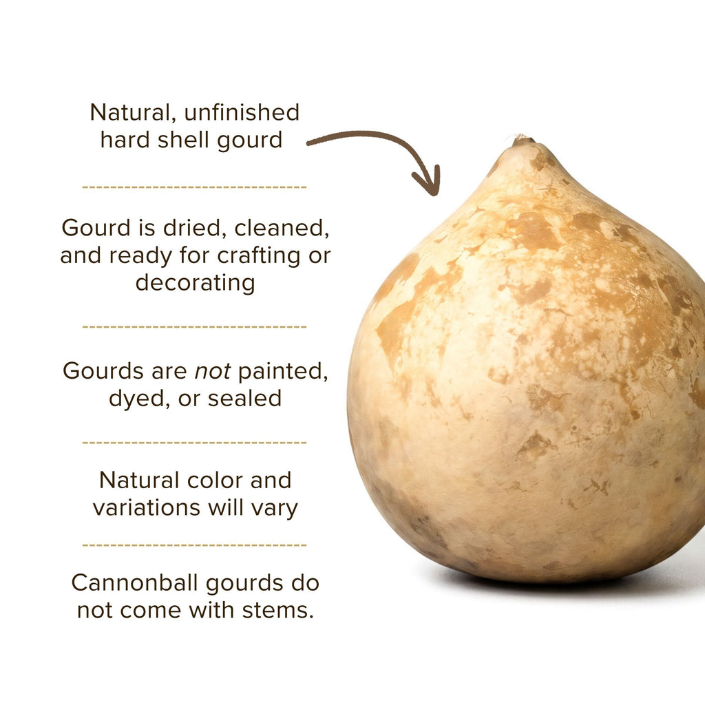 Dried Cannonball Gourd - 4" in Diameter