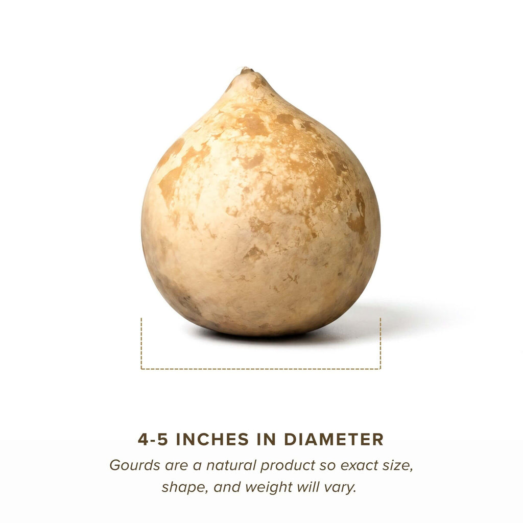 Dried Cannonball Gourd - 4" in Diameter