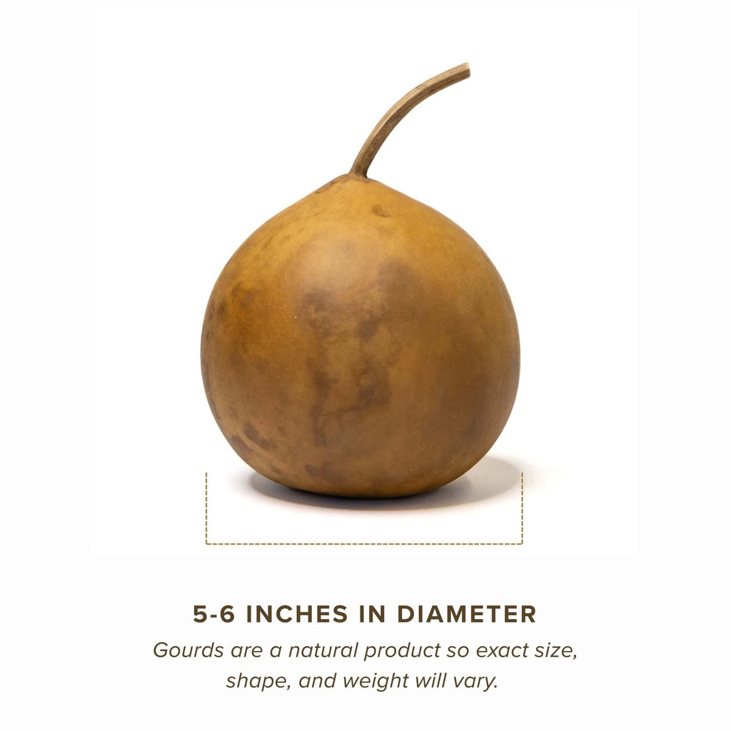 Dried Cannonball Gourd - 5" in Diameter