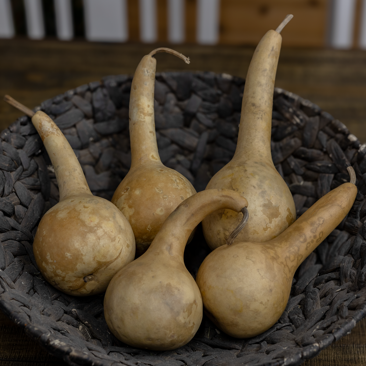 3.5 inch dried dipper gourds in a set of five at Meadowbrooke Gourds. Styled in a black woven basket.