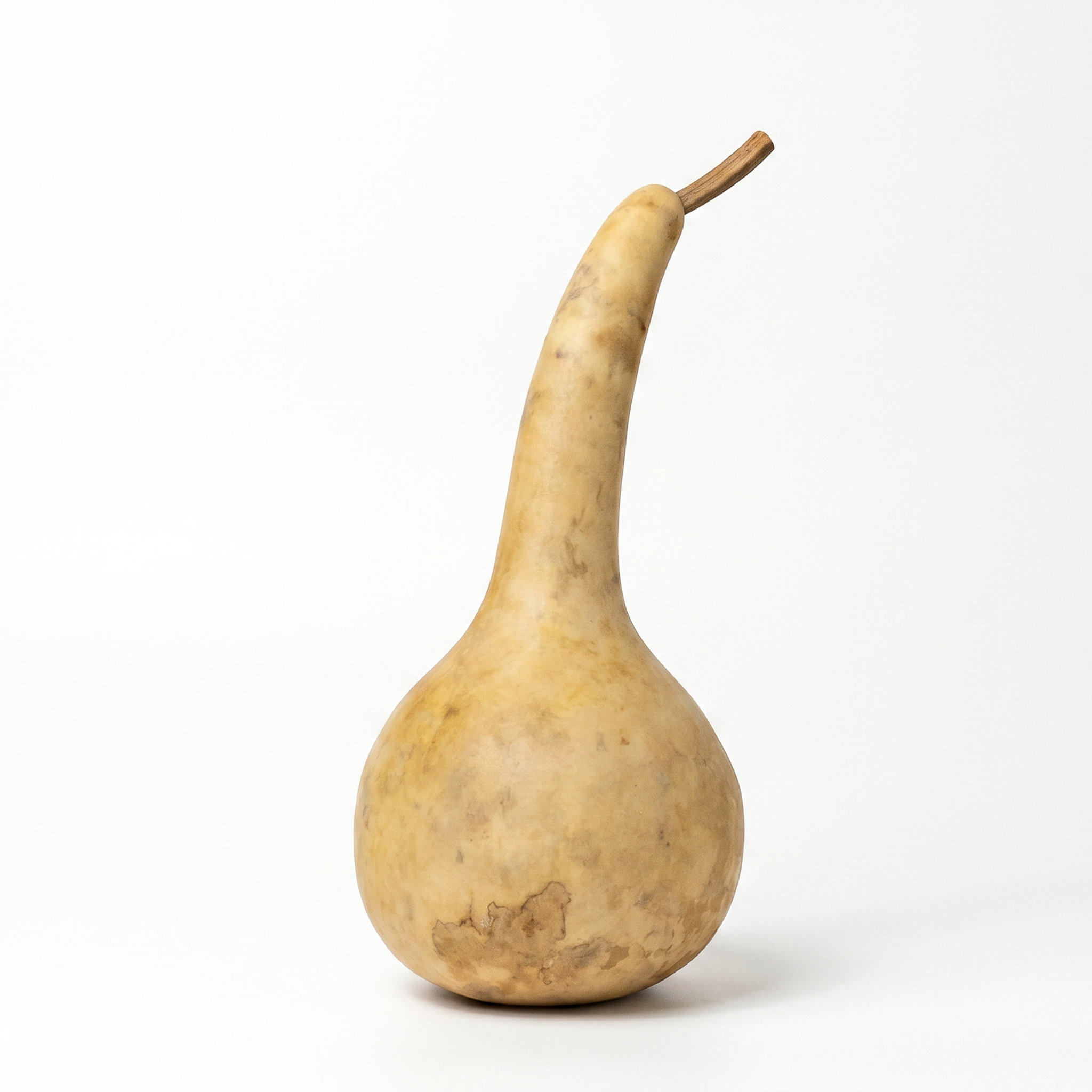 Dried Dipper Gourd - 3.5" in Diameter