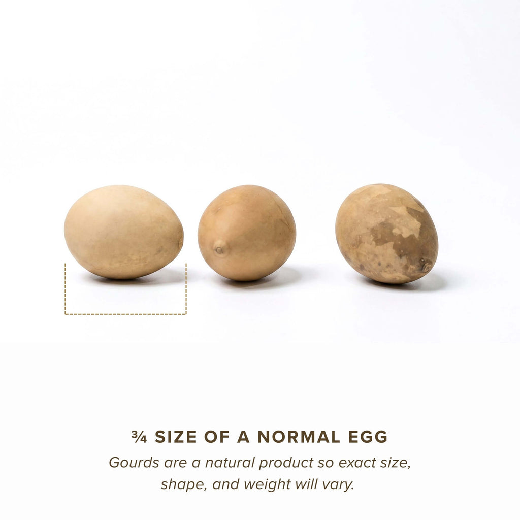 Dried Hen Gourd Egg