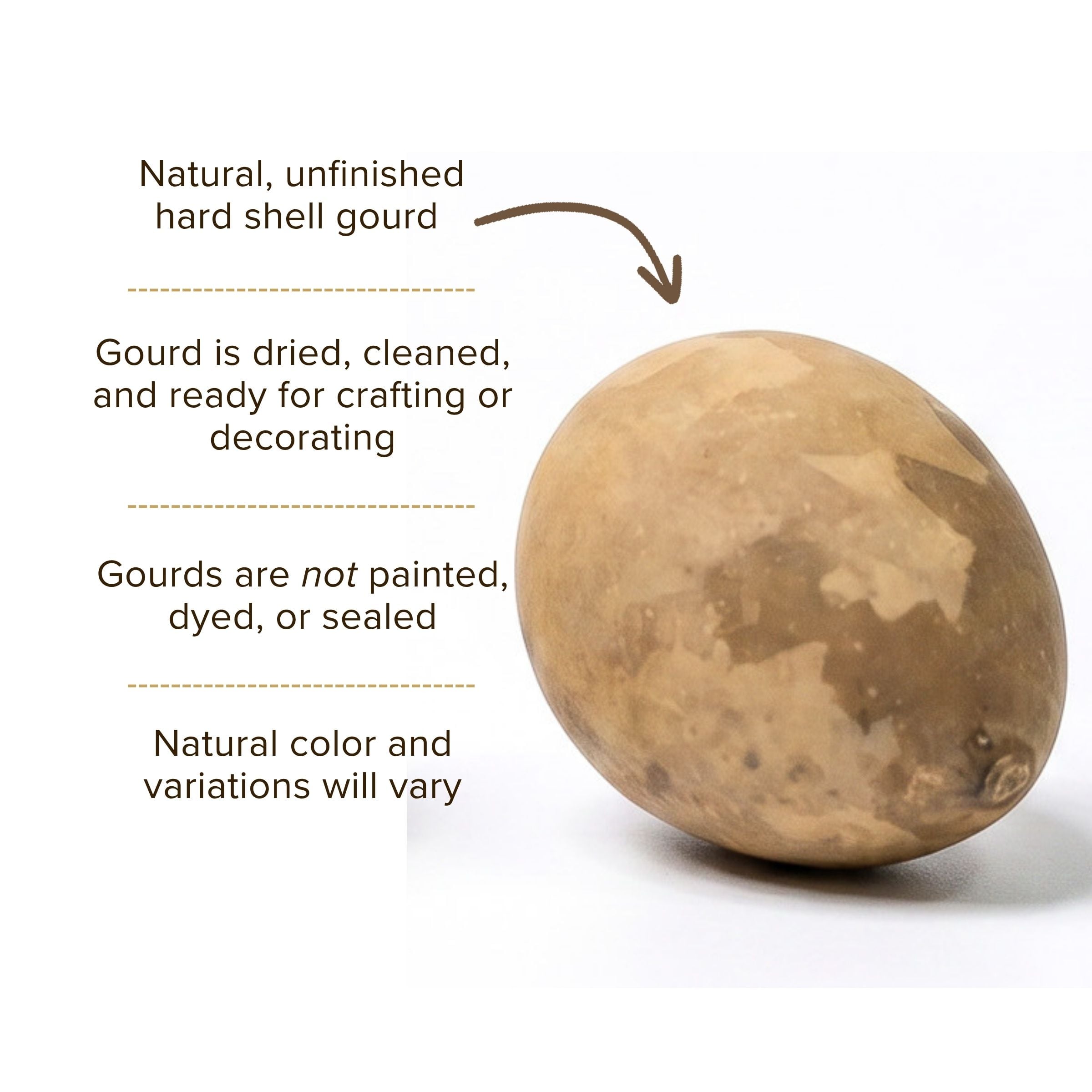 Dried Hen Gourd Egg