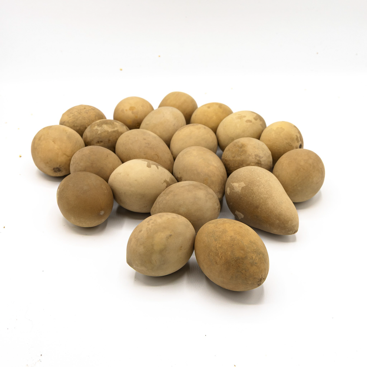 Dried medium gourd eggs in a pile  amongst a white background at Meadowbrooke Gourds.