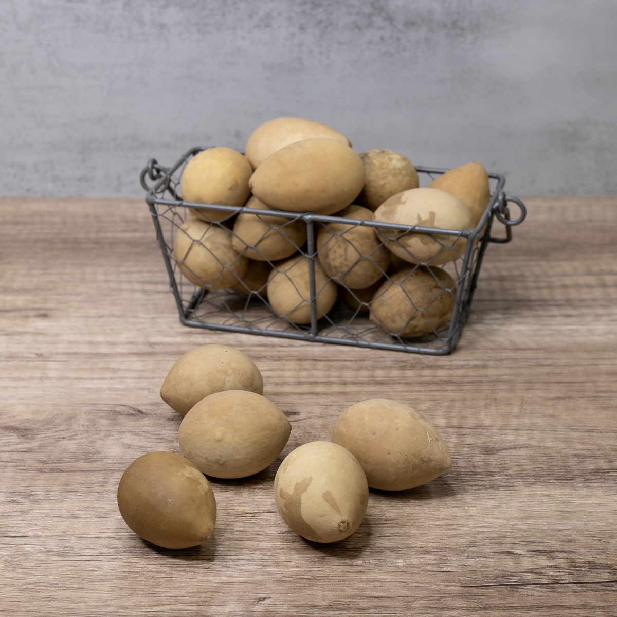 Dried medium gourd eggs styled in a rustic metal basket at Meadowbrooke Gourds.